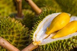 Giá sầu riêng hôm nay 24/1: Thị trường đi ngang, cao nhất 90.000 đồng/kg