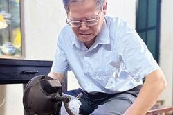 Ký ức của nụ cười xưa