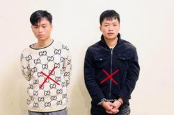 Bắt giữ 2 nghi phạm đập phá tủ cướp tiệm vàng ở Ninh Bình sau 40 giờ gây án