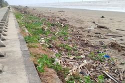 Vĩnh Long: Khẩn trương làm sạch bãi biển Ba Động sau phản ánh nhếch nhác vì rác thải
