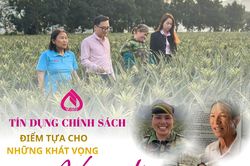 Tín dụng chính sách: Điểm tựa cho những khát vọng vươn lên