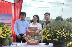Hoa Tết sớm lên chợ mạng: Khi 'xem tận mắt' không còn là điều kiện bắt buộc