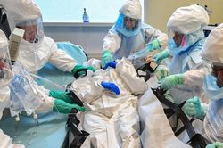 Nipah - virus tử vong tới 75%: Thế giới có đối mặt một 'COVID-19 mới'?