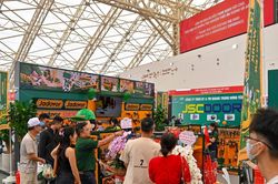 Doanh nghiệp nước ngoài tham gia Hội chợ Mùa Xuân 2026 nhận được ưu đãi gì?
