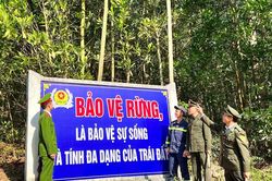 Tăng mức kinh phí bảo vệ rừng đặc dụng