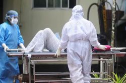 Hiểu đúng về virus Nipah để không hoảng loạn, cũng không chủ quan