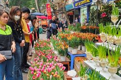 Hà Nội tổ chức Lễ hội hoa, cây cảnh 2026 tại Công viên Thiên văn học