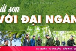 Sắt son với đại ngàn!