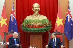 Đại sứ New Zealand: Tin tưởng vào sự tăng trưởng của Việt Nam trong năm 2026