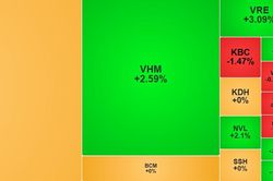 Chứng khoán hôm nay 29/1/2026: VN-Index tăng trở lại