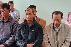 Gia Lai: Ba nhân viên bảo vệ rừng nhận tiền để lâm tặc triệt hạ 121 cây gỗ