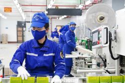 Đưa hơn 12 triệu giàn pháo hoa phục vụ thị trường Tết