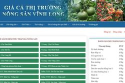 Giá rau xanh giảm mạnh trước Tết Bính Ngọ 2026, nguồn cung từ Lâm Đồng đạt 790.000 tấn