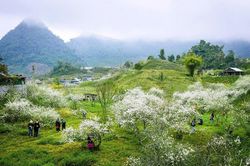 Thời tiết Nghệ An ngày 30/1: Sáng sớm và đêm trời rét