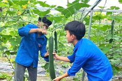 Kế hoạch nhỏ, ý nghĩa lớn