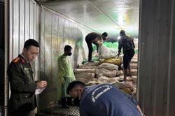 Phát hiện kho lạnh trữ 59 tấn lòng lợn không nguồn gốc