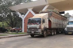 Phó Thủ tướng yêu cầu xử lý kiến nghị của Tây Ninh về thông quan nông sản
