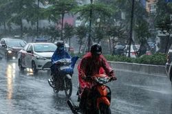 Dự báo thời tiết Nghệ An ngày và đêm 31/1/2026: Trời rét