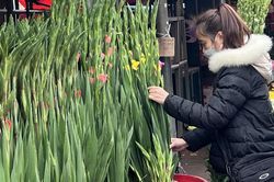 Trái cây, rau củ, hoa Tết bắt đầu nhích giá