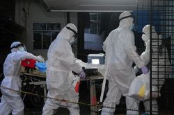 WHO khẳng định 'Virus Nipah chưa có dấu hiệu lan rộng, nguy cơ toàn cầu ở mức thấp'