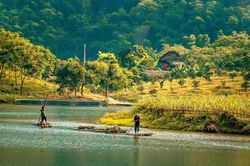 Nghệ An thu hơn 356 tỷ đồng từ giảm phát thải rừng