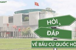 Bầu cử Quốc hội và HĐND: Các đơn vị vũ trang được cấp thẻ cử tri như thế nào?