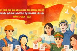 Bầu cử đại biểu Quốc hội và đại biểu HĐND: Thời gian, quy trình bỏ phiếu và xác định kết quả