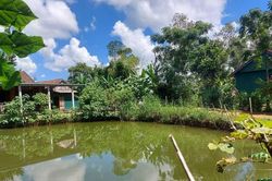 Chuyển đất vườn, ao sang đất ở: Chỉ được áp dụng mức tính tiền ưu đãi một lần