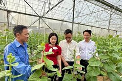 Đảng bộ xã Thiệu Tiến đổi mới, nâng cao chất lượng sinh hoạt chi bộ