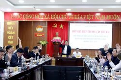 19 người tham gia ứng cử đại biểu Quốc hội khóa XVI đơn vị thành phố Đà Nẵng