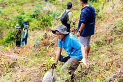 Lâm Đồng đẩy mạnh trồng, phát triển rừng bền vững