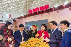 Khai mạc Hội chợ Mùa Xuân 2026