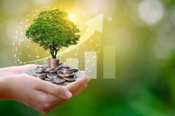 Tín dụng xanh tăng trưởng gần 20%/năm