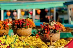Du xuân Hội An, trải nghiệm Tết xưa giữa lòng di sản