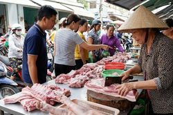 Giá heo hơi hôm nay 3/2/2026: Nguồn cung căng, giá chưa hạ