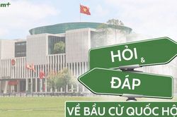 Việc tổ chức bầu cử ở các khu vực bỏ phiếu sớm được quy định như thế nào?