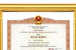 Madame Nguyễn Thị Nga và Tập đoàn BRG vinh dự được trao tặng Bằng khen của Thủ tướng Chính phủ