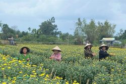 Làng Hà Đông tổ chức chợ hoa xuân