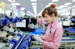 Người đi làm dịp Tết có thể được hưởng 490% lương