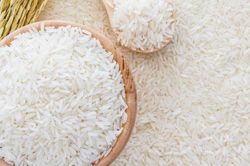 Giá lúa gạo hôm nay 4/2: Thị trường đi ngang, giá lúa tươi giữ mức ổn định