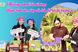 Bài 2: Mở rộng sinh kế từ núi rừng: Hành trình đưa nông sản bản địa lên thị trường số