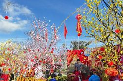 Lâm Đồng hôm nay 04/02