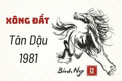 Tuổi xông đất năm 2026 cho gia chủ Tân Dậu 1981