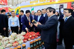 HỘI CHỢ MÙA XUÂN lần thứ nhất năm 2026: 'KẾT NỐI THỊNH VƯỢNG - ĐÓN XUÂN HUY HOÀNG'