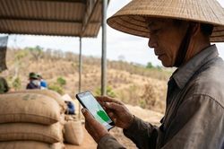 Giá cà phê hôm nay 5/2/2026: Nguồn cung khan, thị trường chờ tín hiệu mới