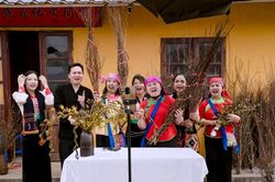 Nông dân 'lên sóng' trực tiếp tại vườn, thay đổi cách bán hoa Tết