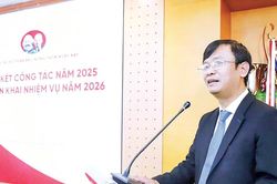 Chúng tôi kiên định đi sâu, đi chắc trên 'cánh đồng Tam nông' …