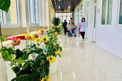 5S ở Bệnh viện Đa khoa tỉnh Thanh Hóa: Từ nền nếp khoa học đến nâng cao chất lượng điều trị