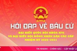 Các công việc mà tổ bầu cử cần thực hiện trước ngày bầu cử là gì?