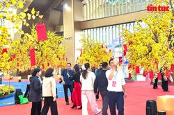 Sắc xuân phương Nam rộn ràng tại Hội chợ Mùa Xuân 2026